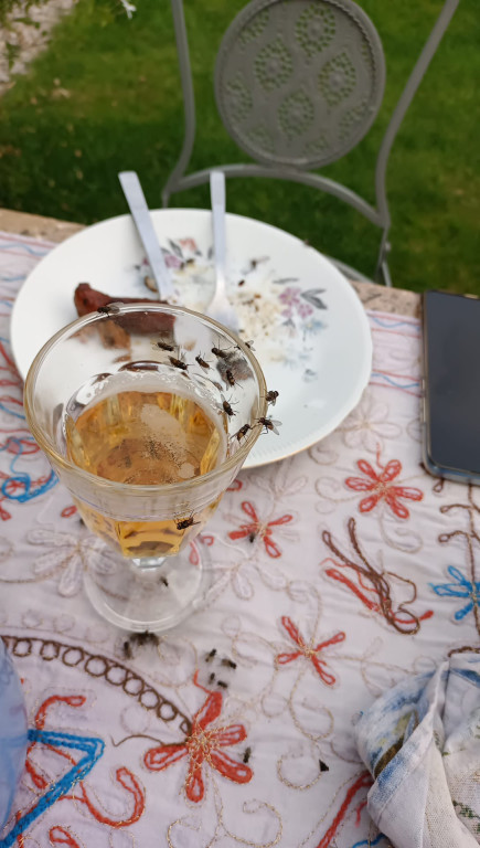 Nakło Śląskie. Mieszkańcy walczą z plagą much