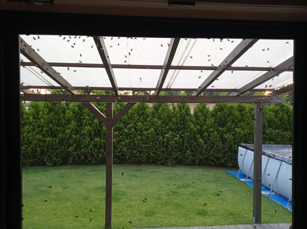 Nakło Śląskie. Mieszkańcy walczą z plagą much