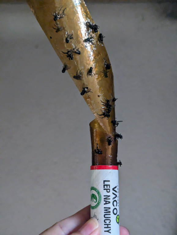 Nakło Śląskie. Mieszkańcy walczą z plagą much