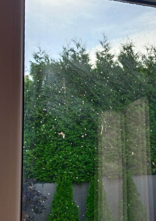 Nakło Śląskie. Mieszkańcy walczą z plagą much