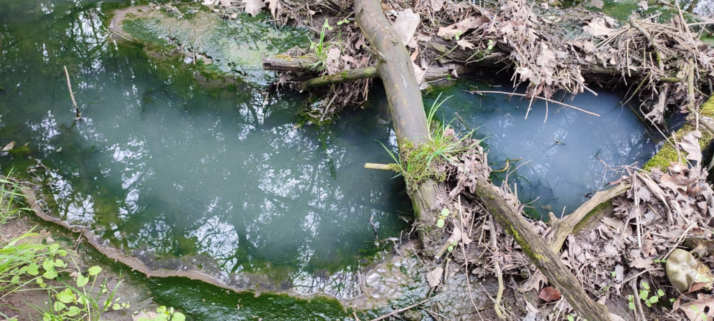 Nakło Śląskie. Mieszkańcy walczą z plagą much