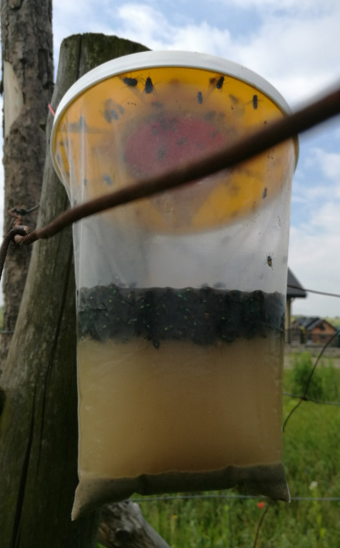 Nakło Śląskie. Mieszkańcy walczą z plagą much