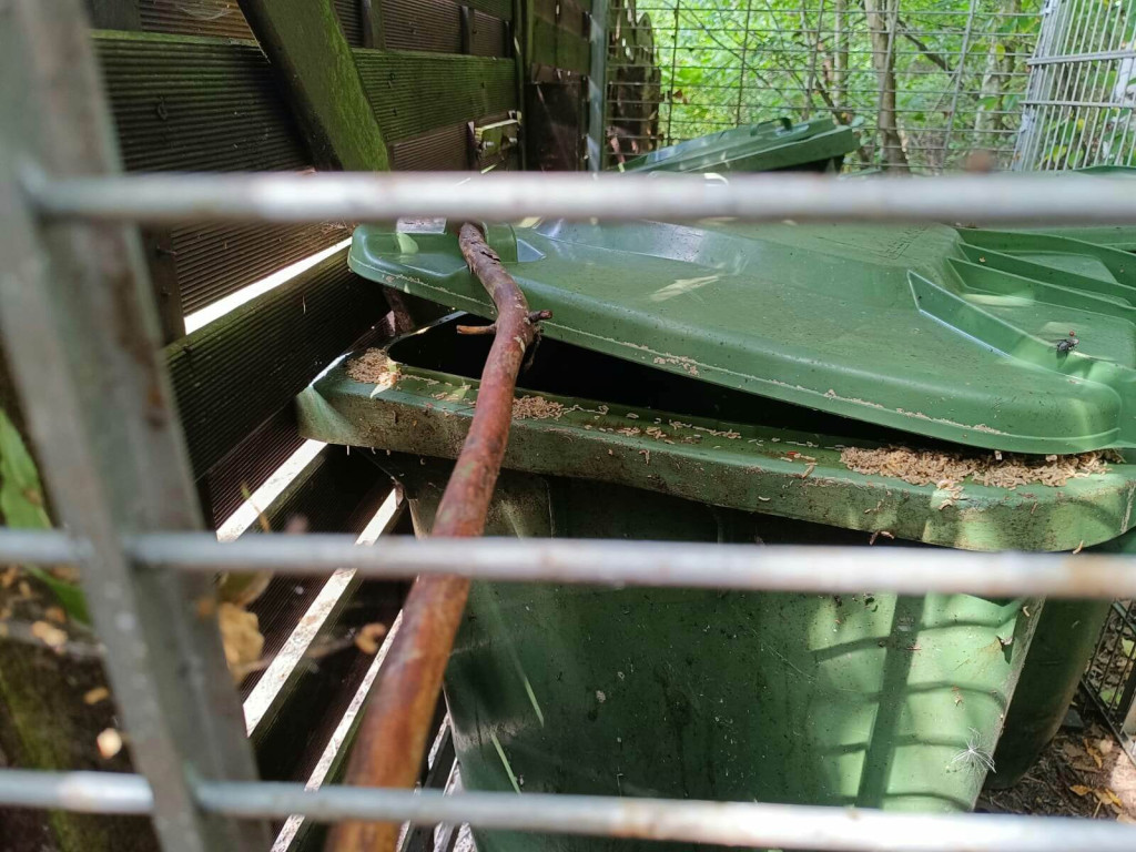 Nakło Śląskie. Mieszkańcy walczą z plagą much