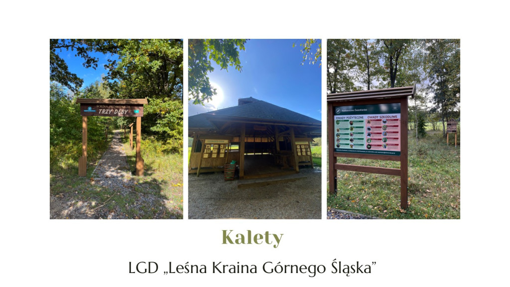 Nowe szlaki rowerowe w okolicy