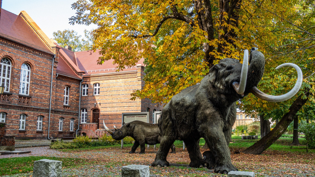 Nowe szlaki rowerowe w okolicy
