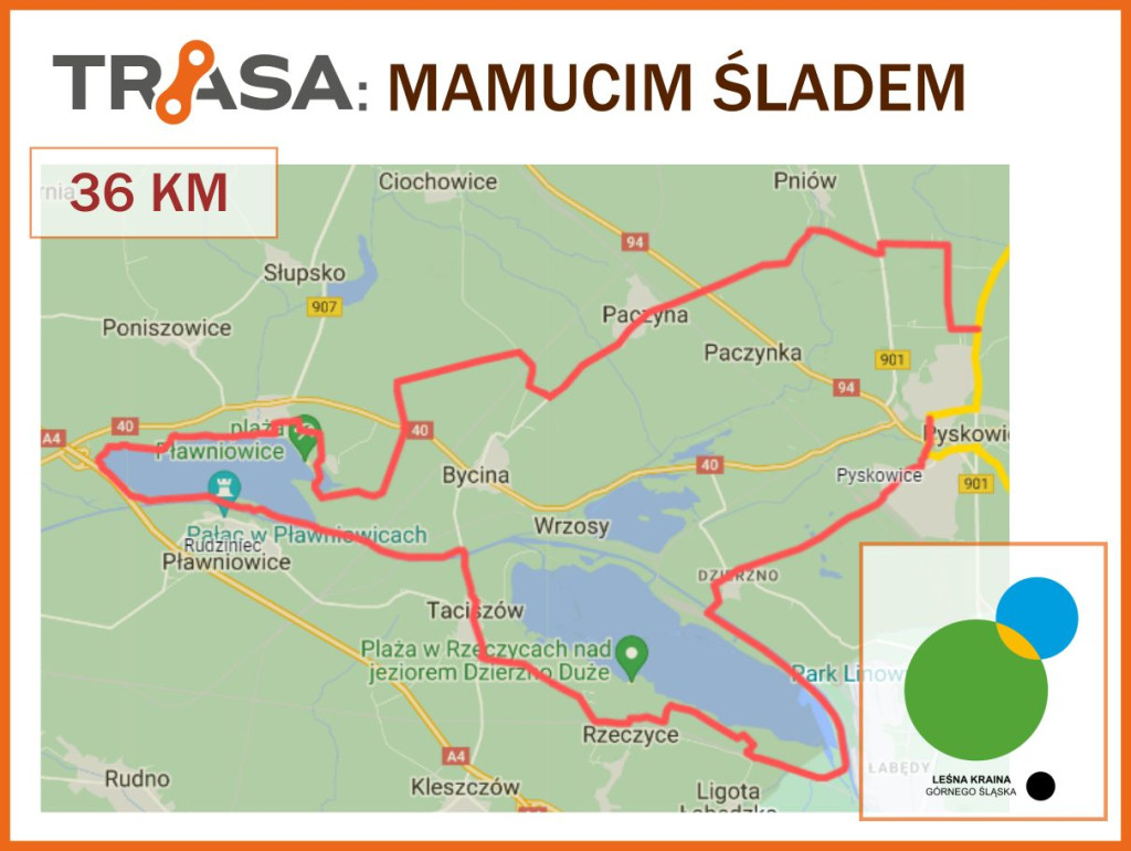 Nowe szlaki rowerowe w okolicy