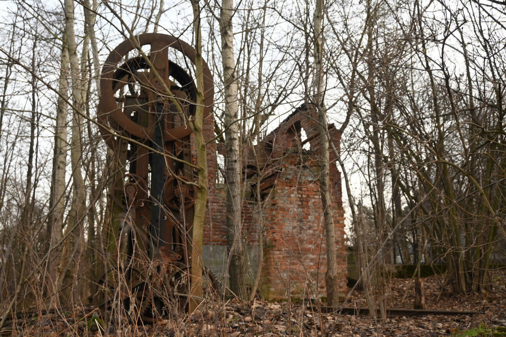 Nowe szlaki rowerowe w okolicy