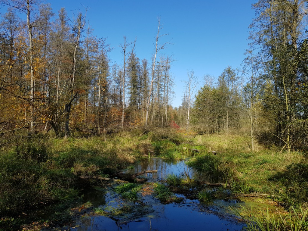Nowe szlaki rowerowe w okolicy