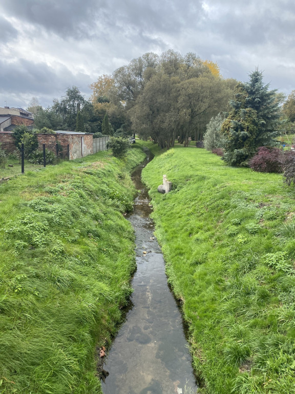 Nowe szlaki rowerowe w okolicy