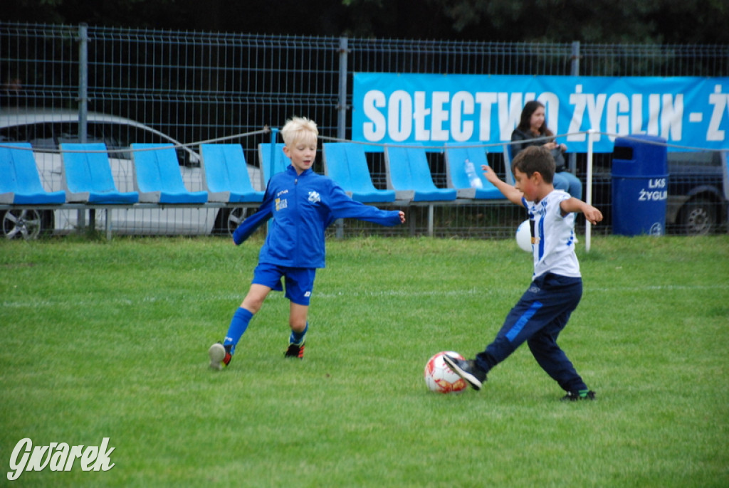 Jubileusz 40-lecia LKS Żyglin [FOTO]