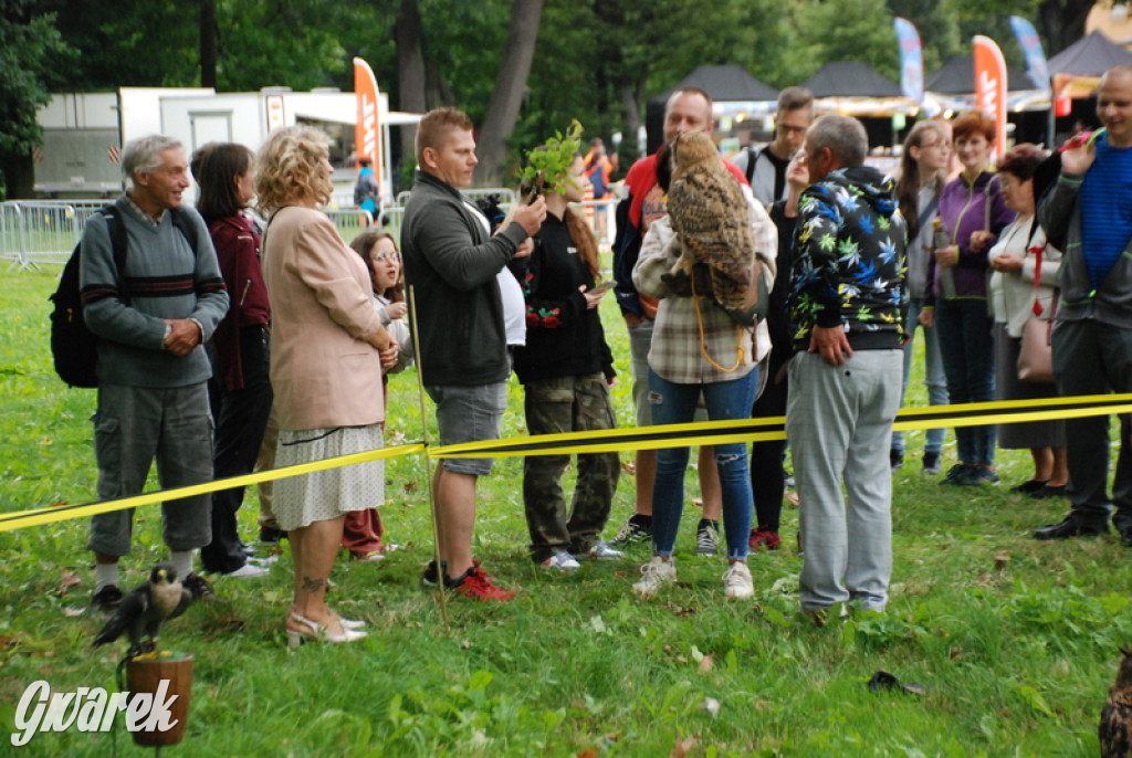 Dwudniowy piknik. W niedzielę koncert Universe