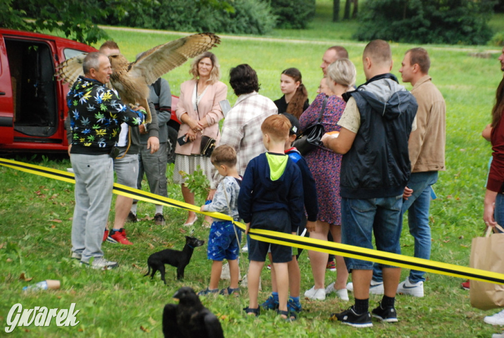 Dwudniowy piknik. W niedzielę koncert Universe