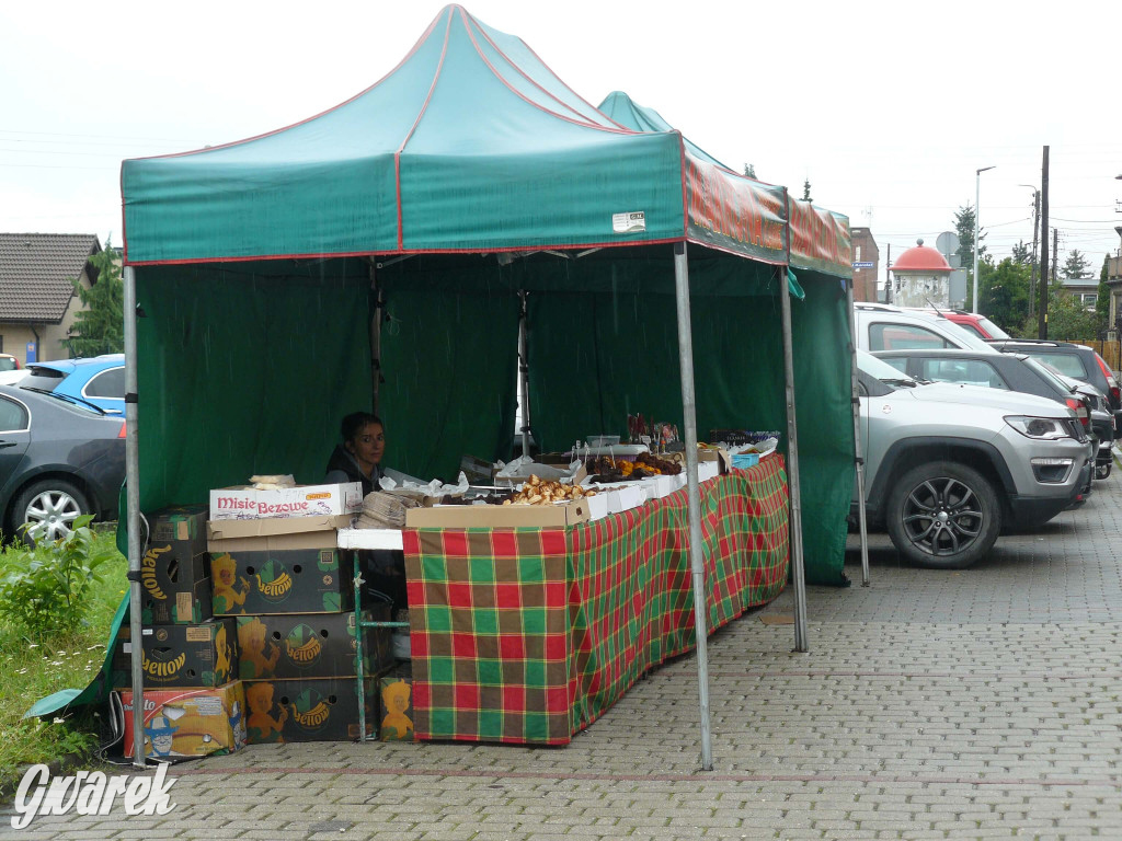 Deszczowy odpust w Bobrownikach Śląskich [FOTO]