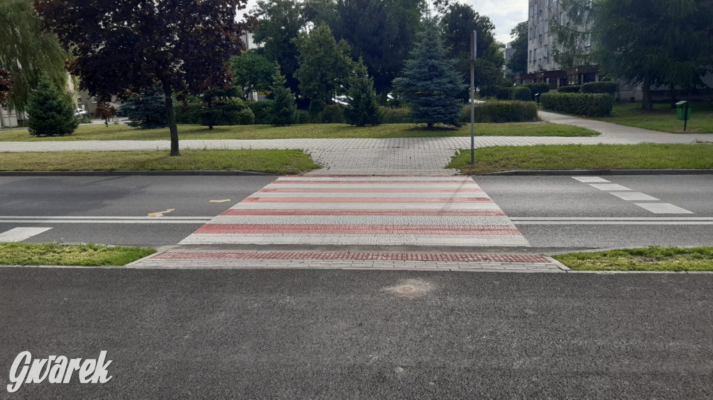 Tarnowskie Góry. Droga rowerowa ul. Litewskiej [FOTO]