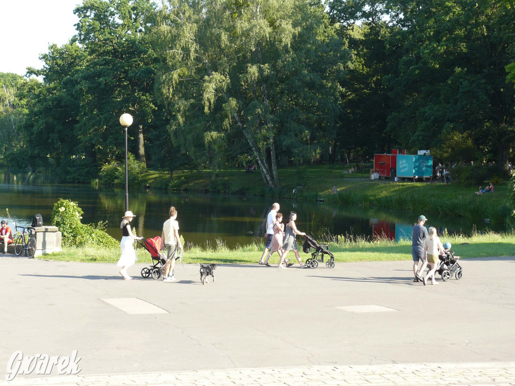 Młynarski kontra Osiecka. Niedziela w parku [FOTO]