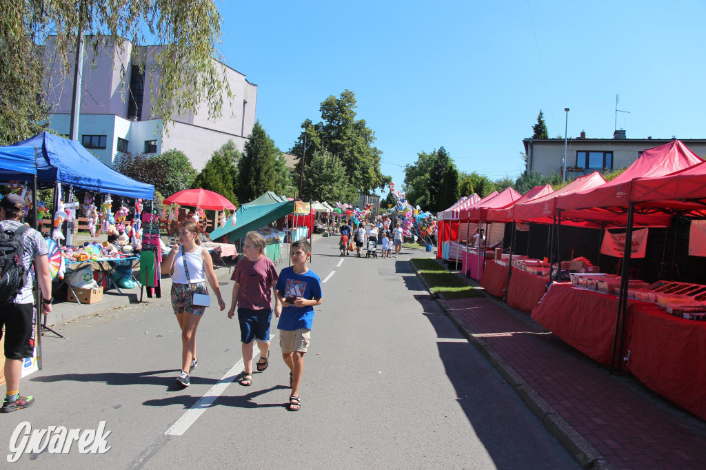 Radzionków. Odpust i procesja w Rojcy