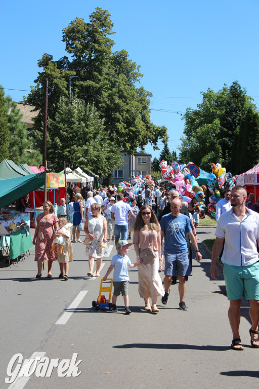 Radzionków. Odpust i procesja w Rojcy