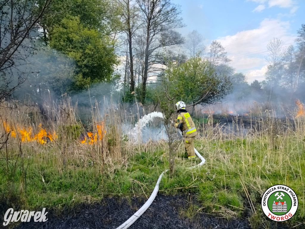 Przedstawiamy OSP Tworóg