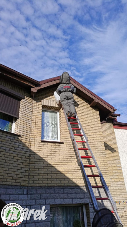 Przedstawiamy OSP Tworóg