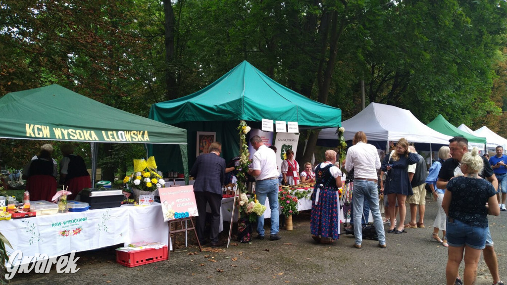 Najlepsze potrawy regionalne, czyli Bitwa Regionów [FOTO]