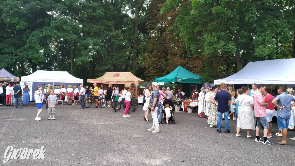 Najlepsze potrawy regionalne, czyli Bitwa Regionów [FOTO]