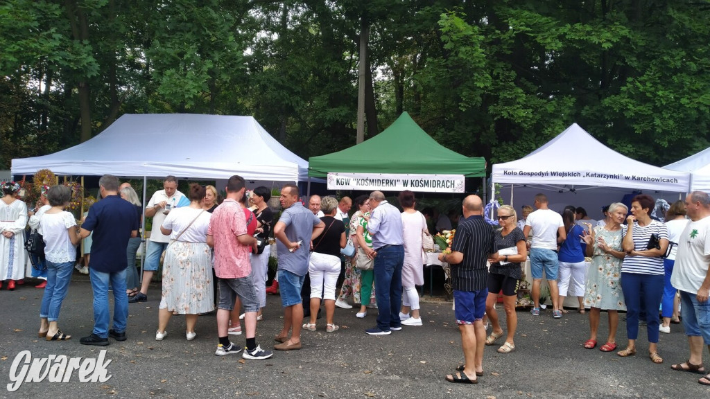 Najlepsze potrawy regionalne, czyli Bitwa Regionów [FOTO]