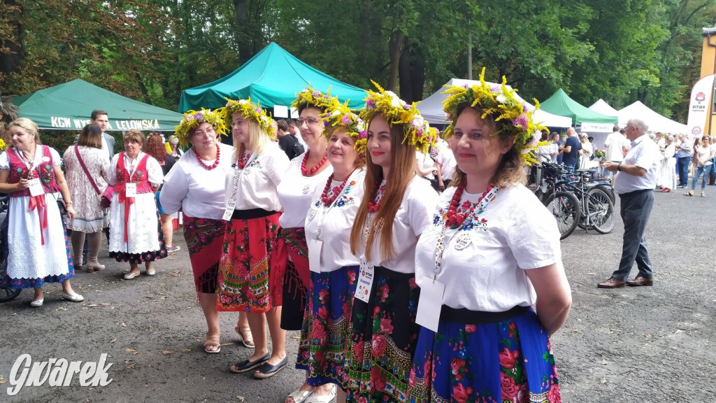 Najlepsze potrawy regionalne, czyli Bitwa Regionów [FOTO]