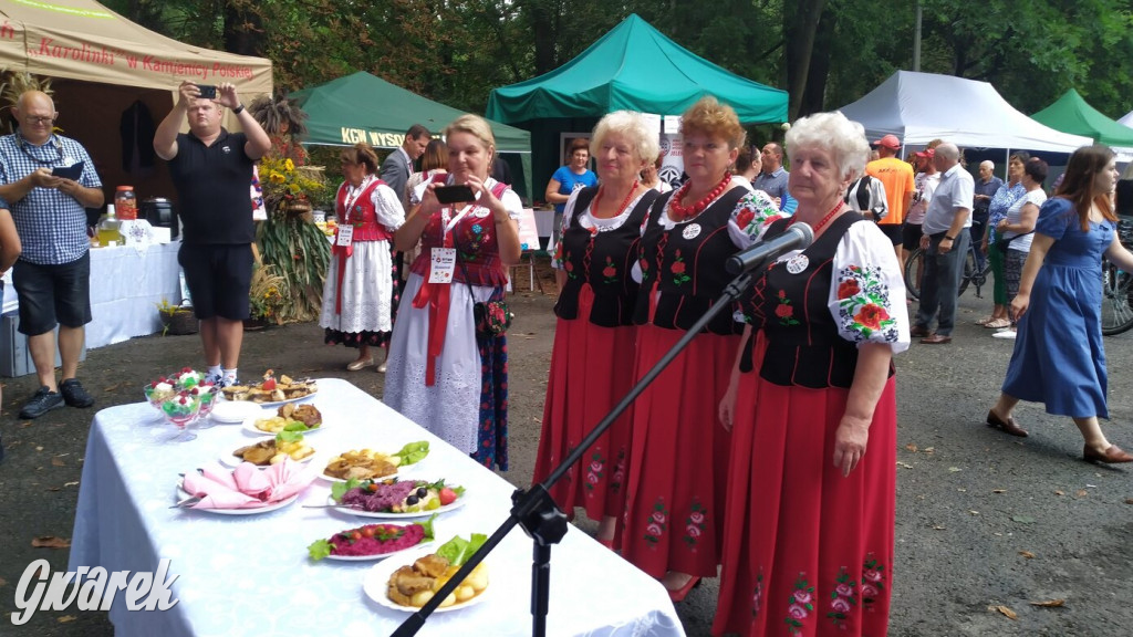 Najlepsze potrawy regionalne, czyli Bitwa Regionów [FOTO]