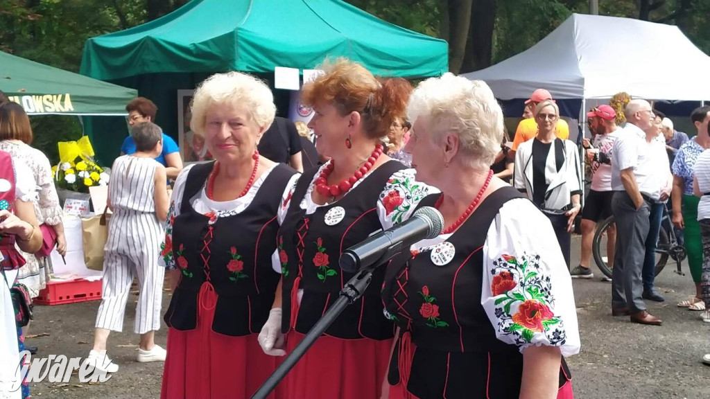 Najlepsze potrawy regionalne, czyli Bitwa Regionów [FOTO]