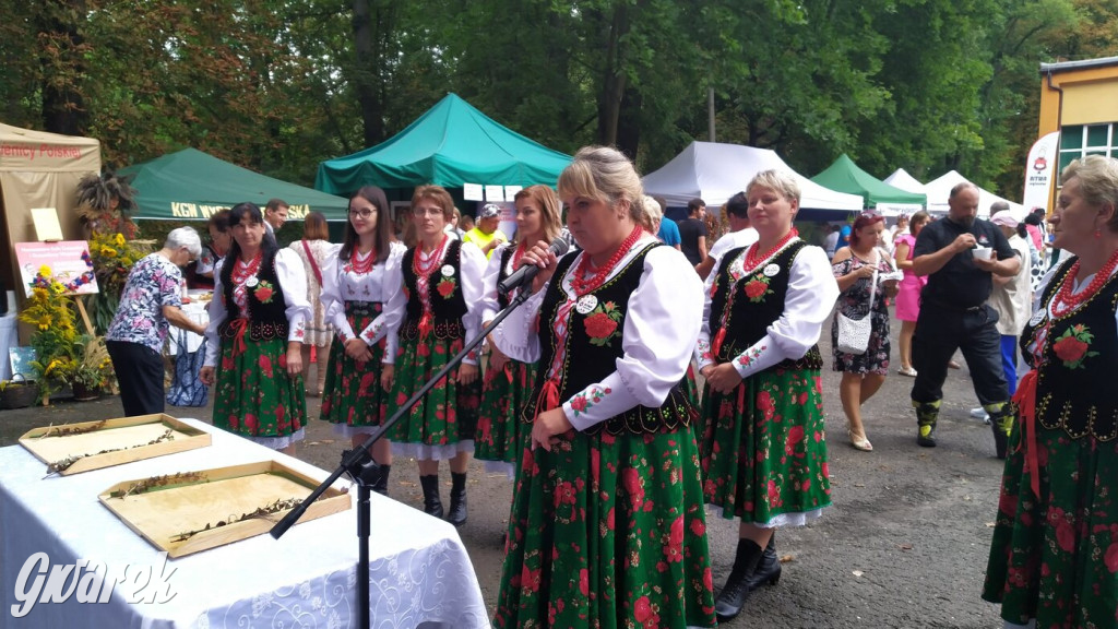 Najlepsze potrawy regionalne, czyli Bitwa Regionów [FOTO]