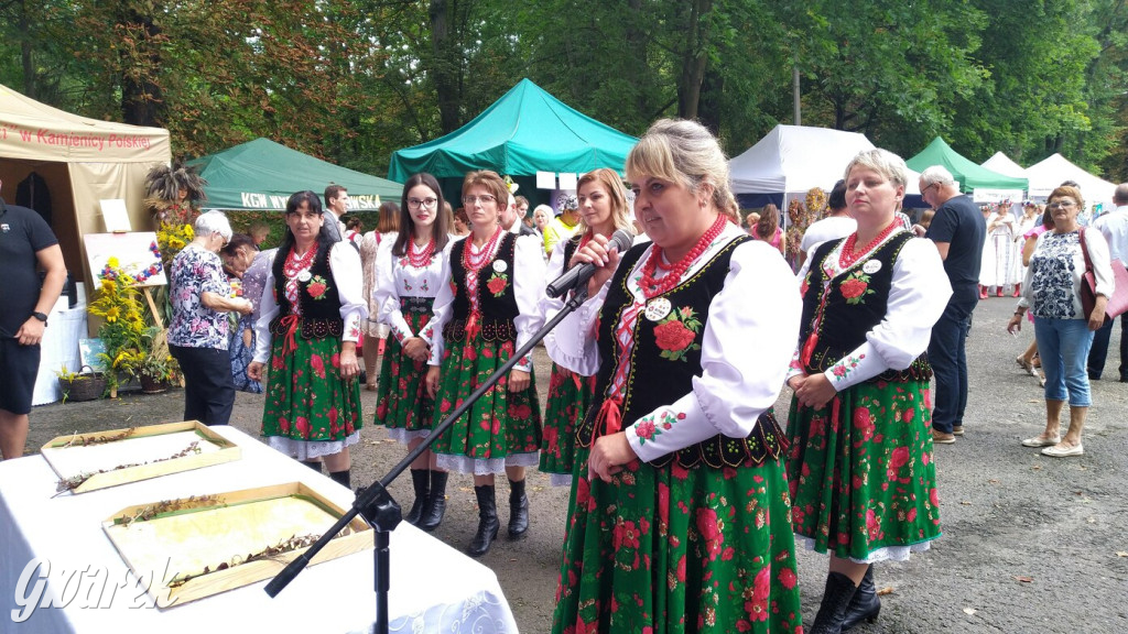 Najlepsze potrawy regionalne, czyli Bitwa Regionów [FOTO]