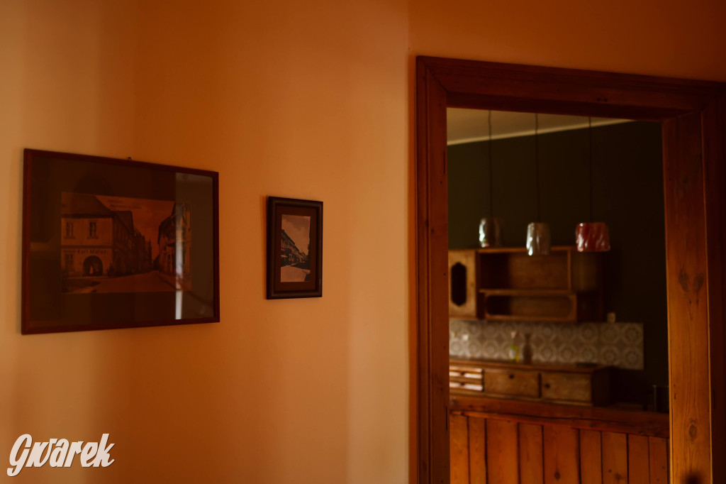 Drewniany Bocian wraca do Tarnowskich Góry