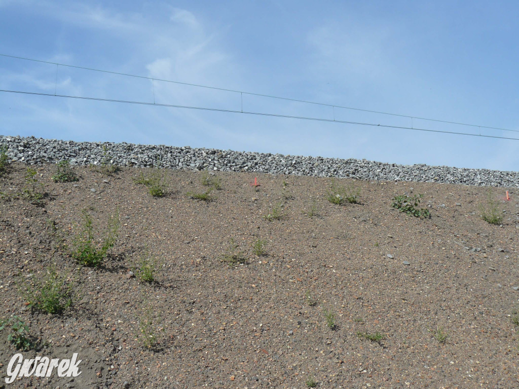 Radzionków. Kiedy otworzą przejazd ul. Zejera?