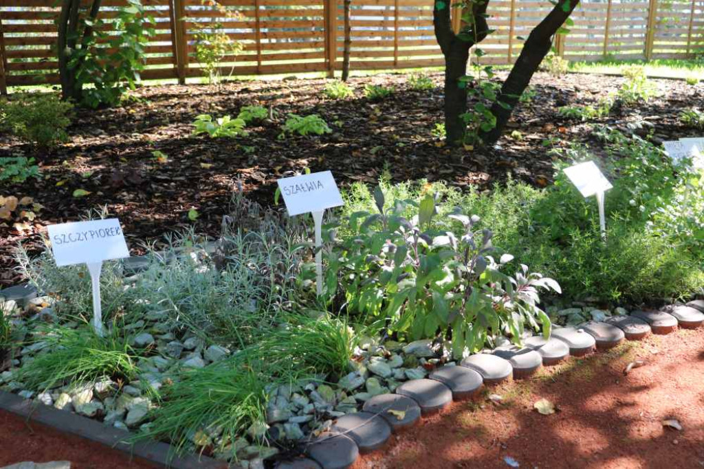 Ogród sensoryczny przy szkole już otwarty