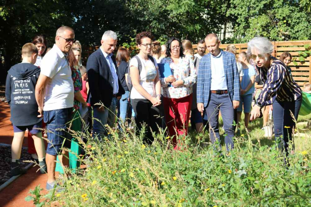 Ogród sensoryczny przy szkole już otwarty