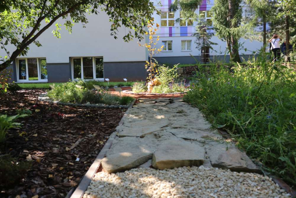 Ogród sensoryczny przy szkole już otwarty