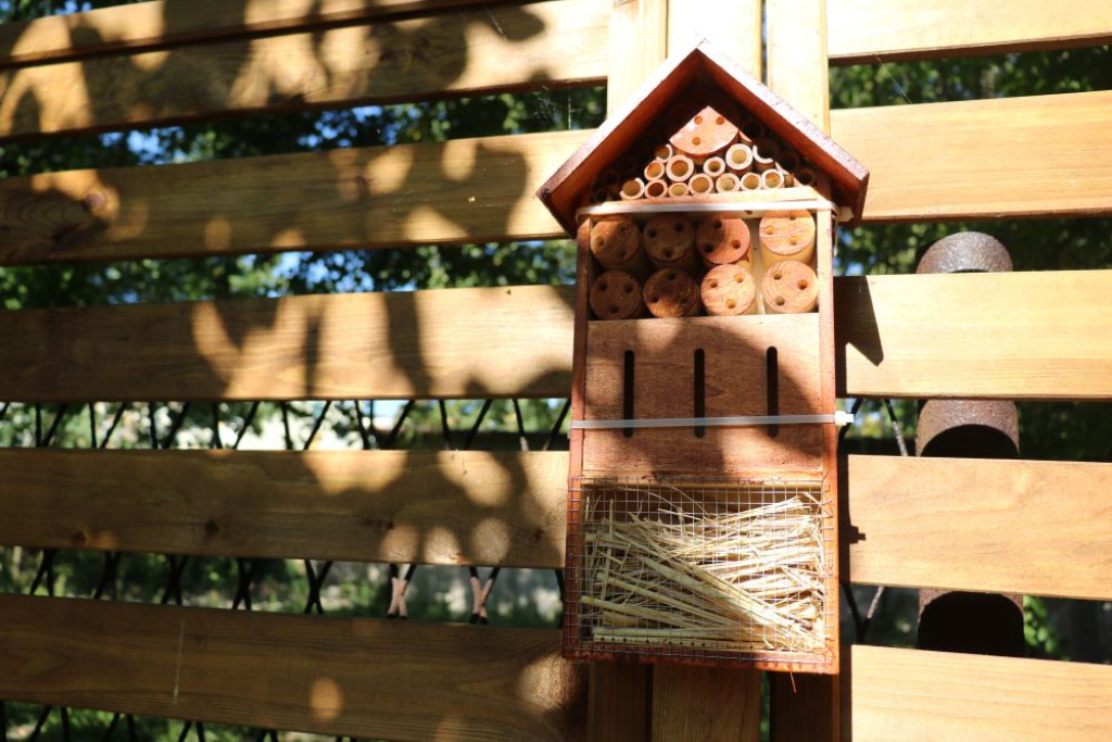 Ogród sensoryczny przy szkole już otwarty