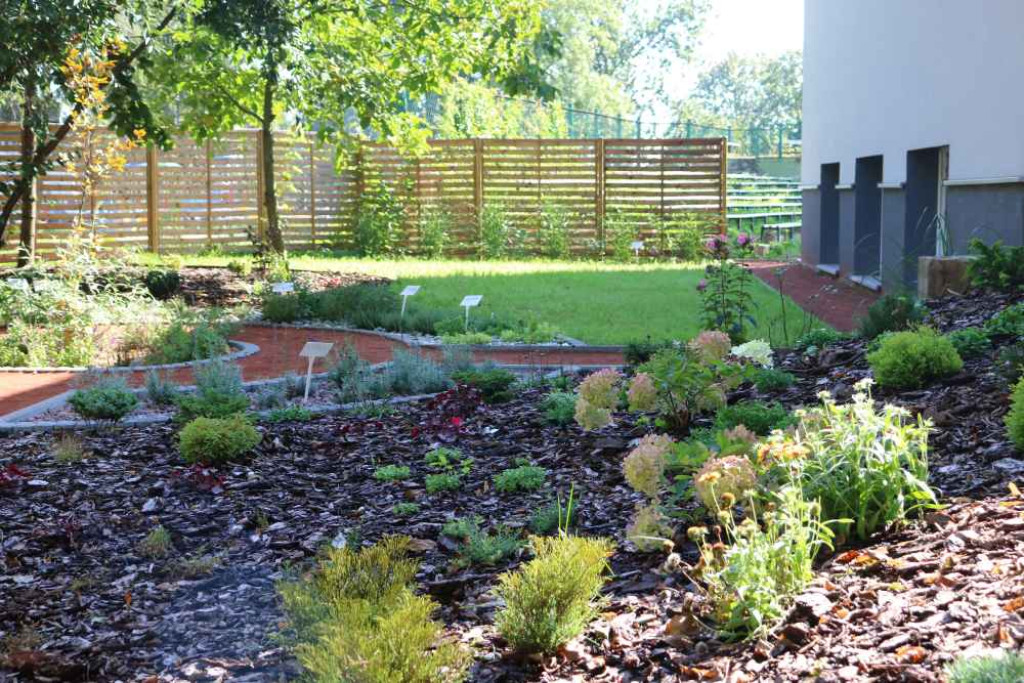 Ogród sensoryczny przy szkole już otwarty