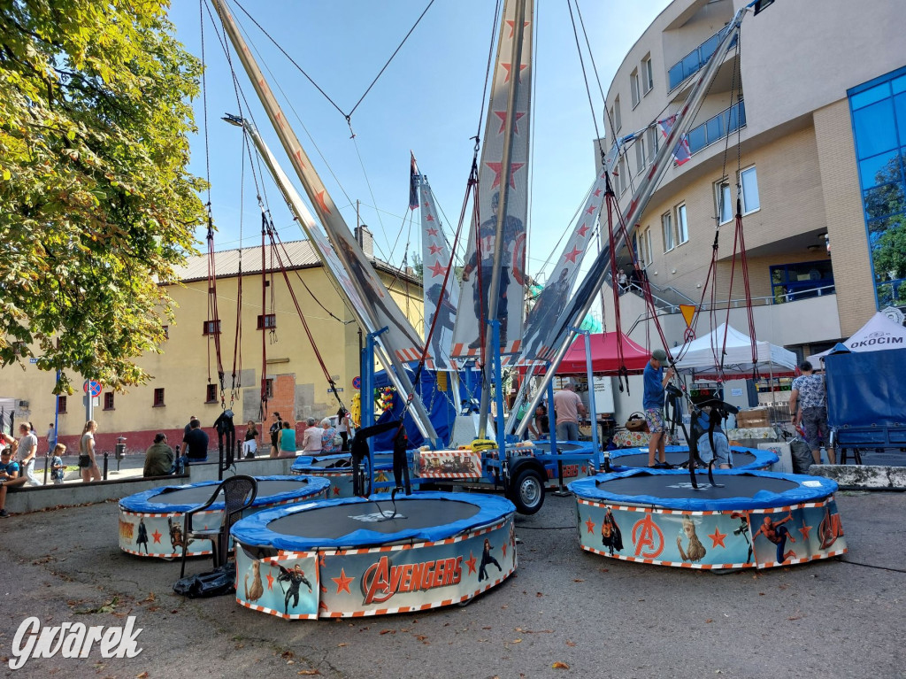 Karuzele na Gwarkach. Podajemy ceny [FOTO]