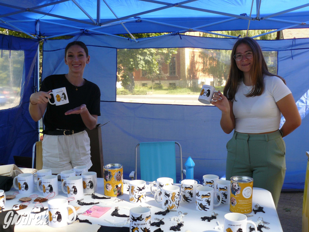 Tarnowskie Góry. Jarmark rękodzieła [FOTO]