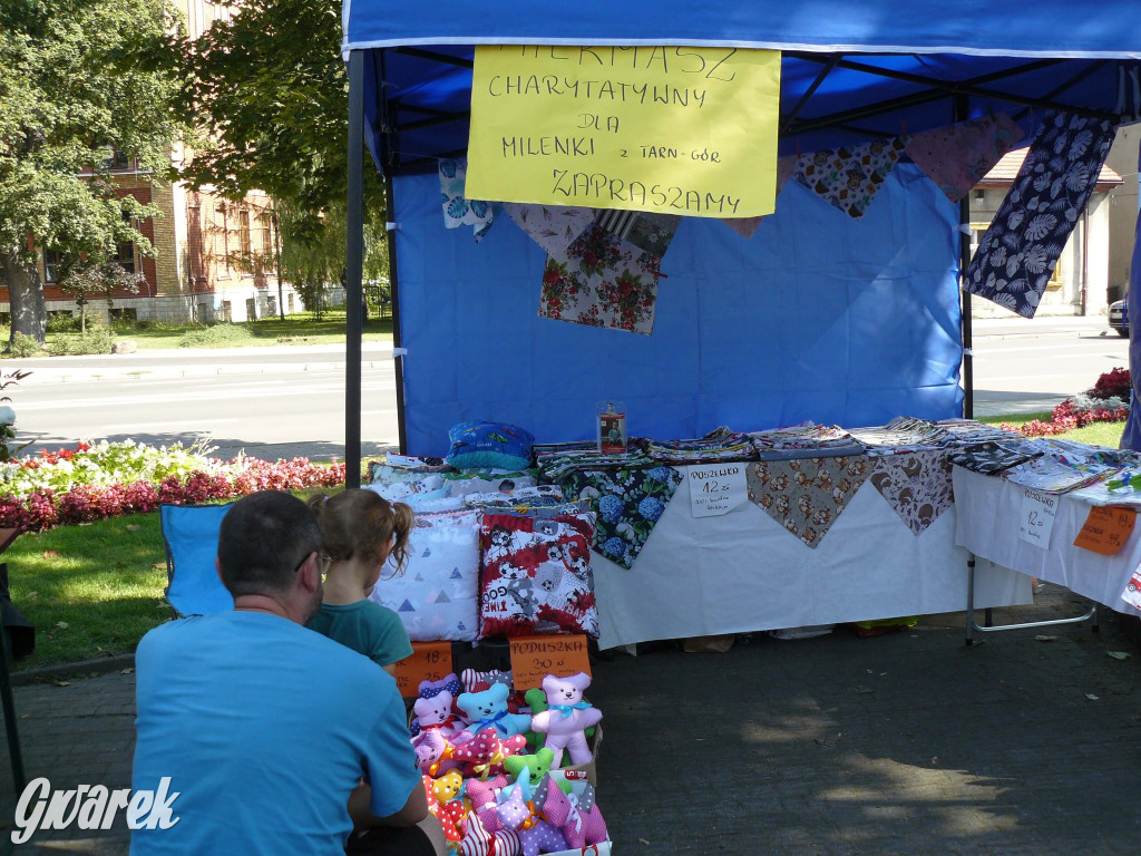 Tarnowskie Góry. Jarmark rękodzieła [FOTO]
