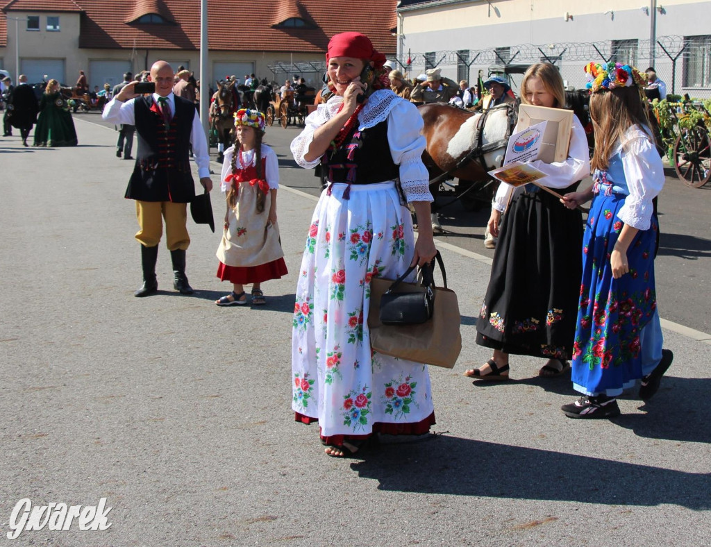 Gwarki. Za kulisami pochodu [GALERIA]