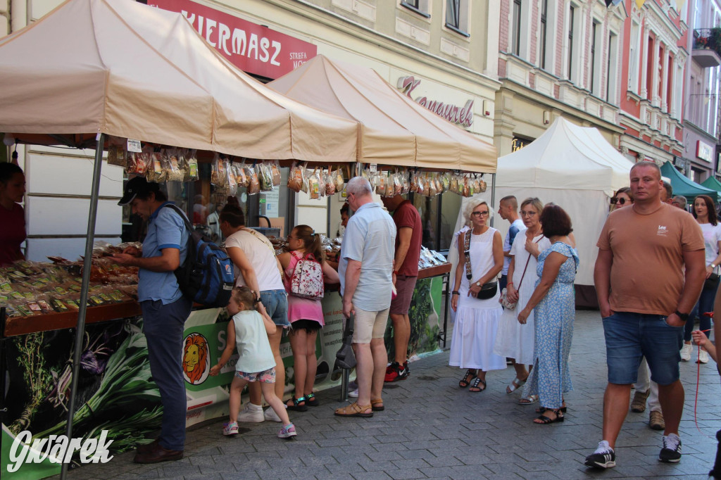 Tak się bawią Tarnowskie Góry. Ostatni dzień Gwarków [FOTO]