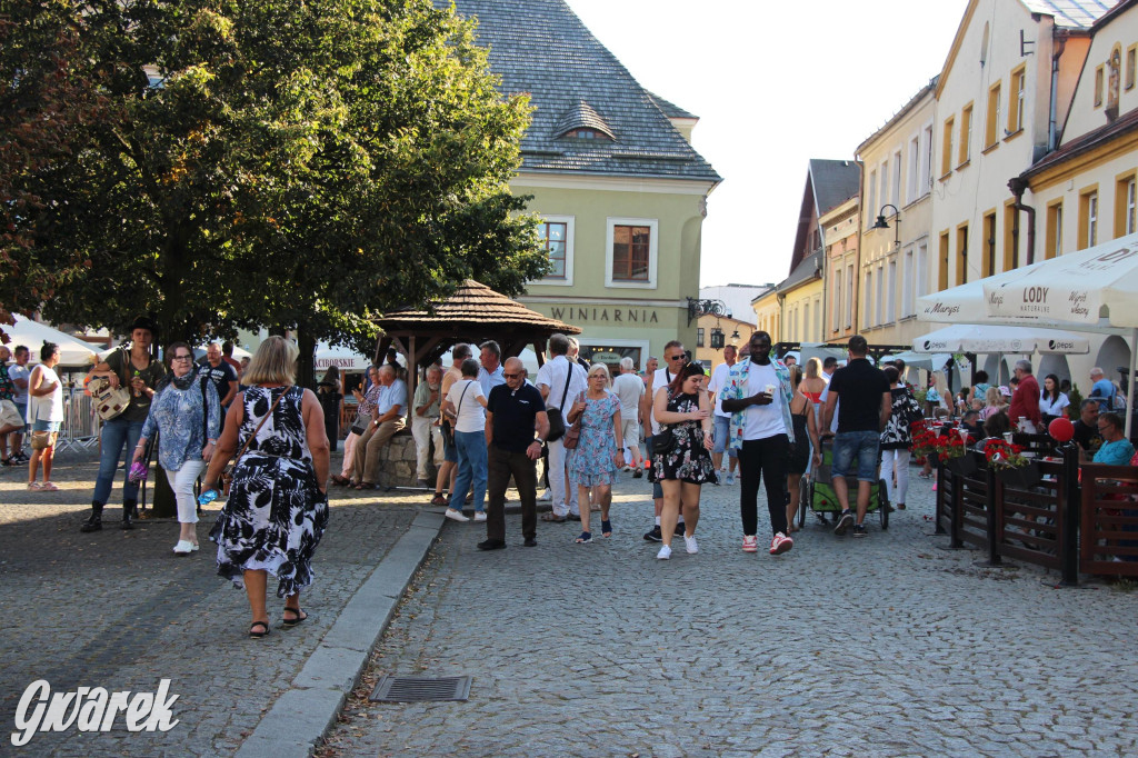 Tak się bawią Tarnowskie Góry. Ostatni dzień Gwarków [FOTO]