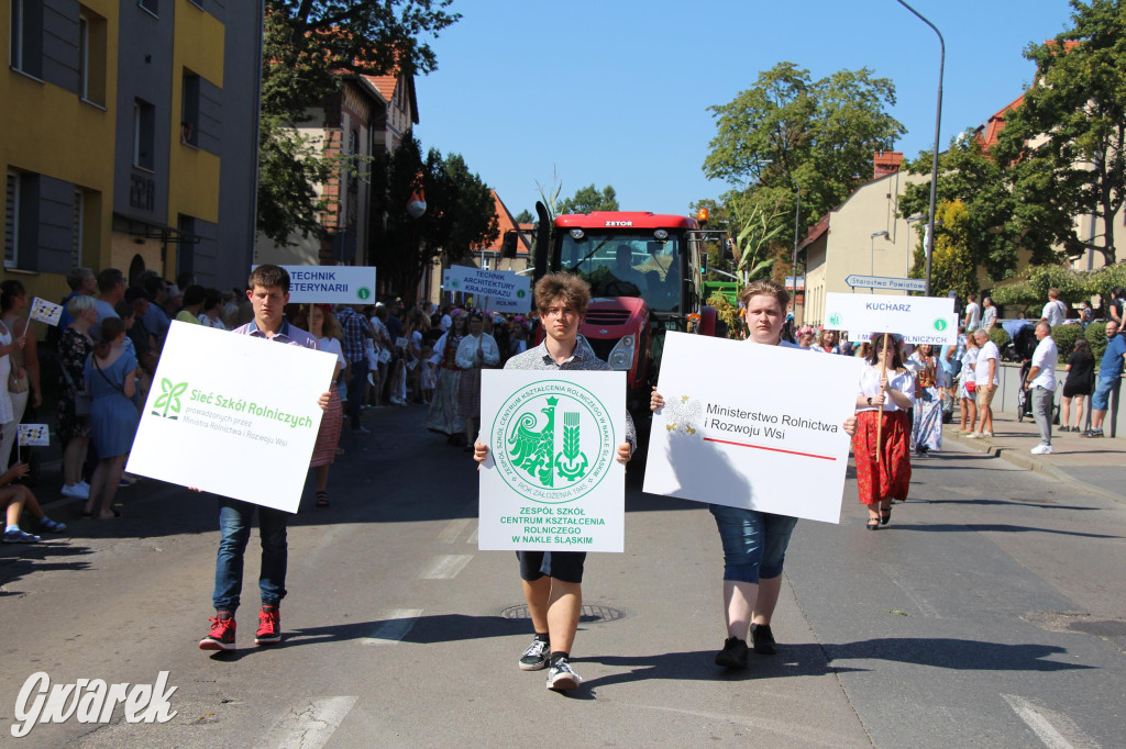 Tarnowskie Góry. Gwarki 2023 i pochód. W roli głównej szkoły [FOTO]