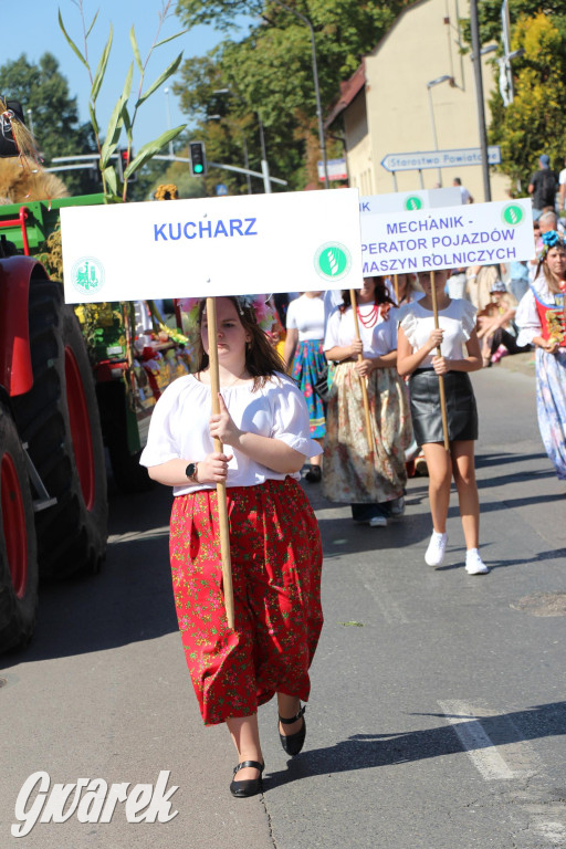 Tarnowskie Góry. Gwarki 2023 i pochód. W roli głównej szkoły [FOTO]