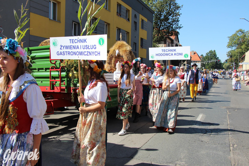 Tarnowskie Góry. Gwarki 2023 i pochód. W roli głównej szkoły [FOTO]