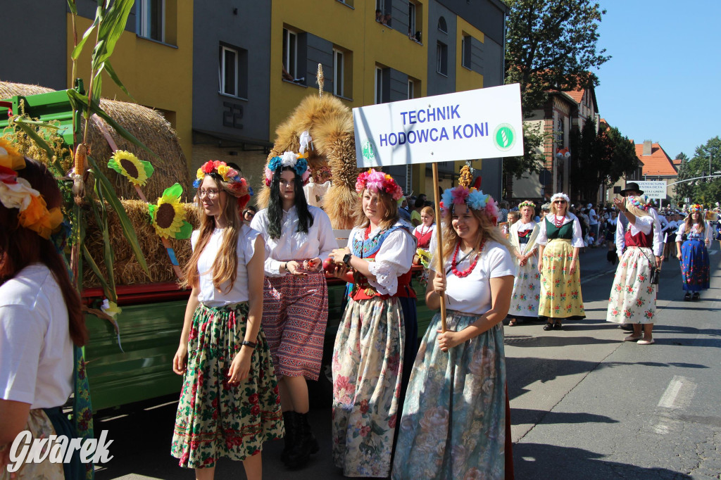 Tarnowskie Góry. Gwarki 2023 i pochód. W roli głównej szkoły [FOTO]