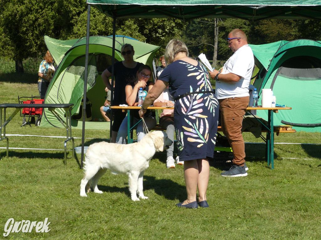 Wystawa psów w parku w Świerklańcu [FOTO]