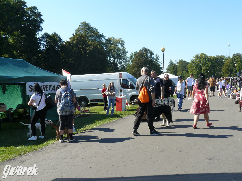 Wystawa psów w parku w Świerklańcu [FOTO]